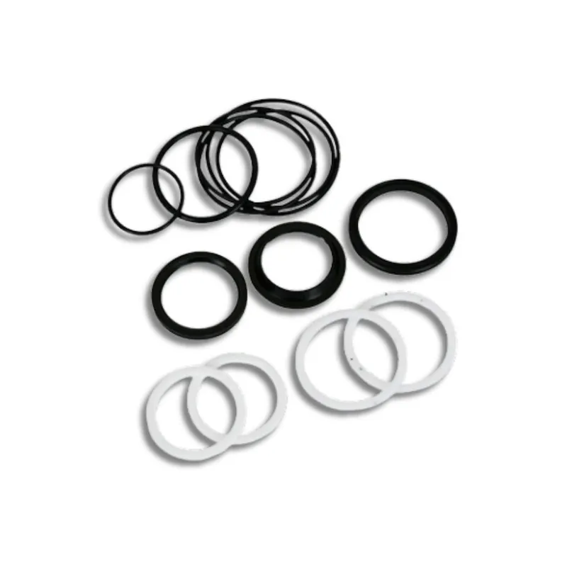 Kit revisione idraulica 36mm fit rlc Subito Disponibile