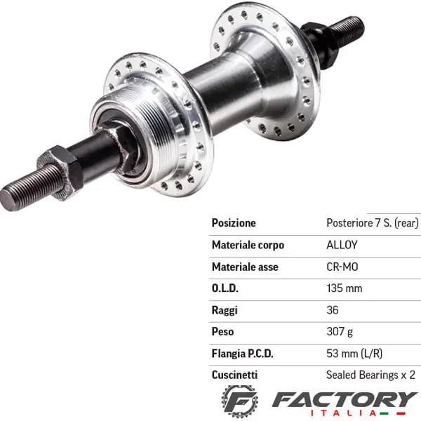 Spedizione Espresso Mozzo ruota posteriore 36 fori su cuscinetti 7v silver