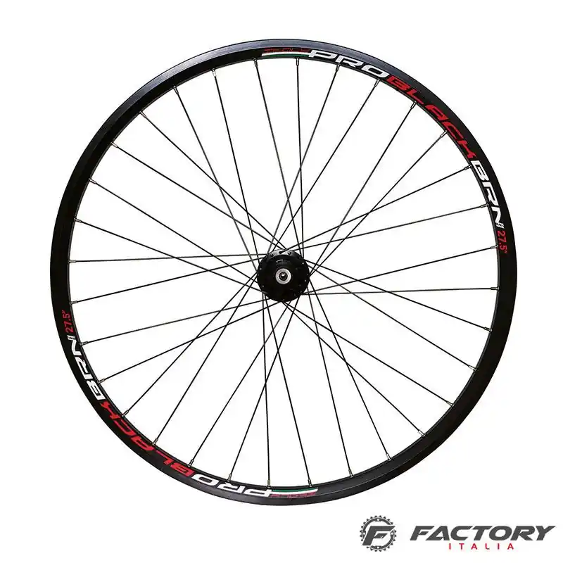 Ruota MTB anteriore BRN Pro Black 26 Ordina Subito
