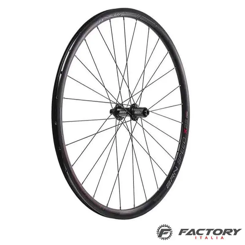 Coppia di ruote Gravel/Speed TLR Campagnolo 13 v Offerta Lampo