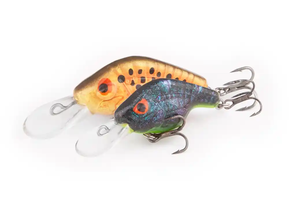 Promo Stagionale FishTank Omega