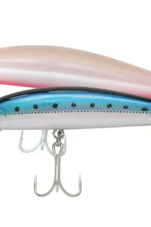 A Buon Prezzo Esche Jackson Athlete S