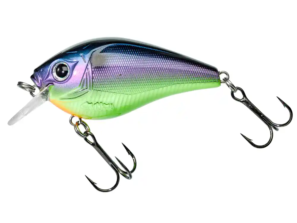 Nuovo Arrivo Gunki Esche Kraken F