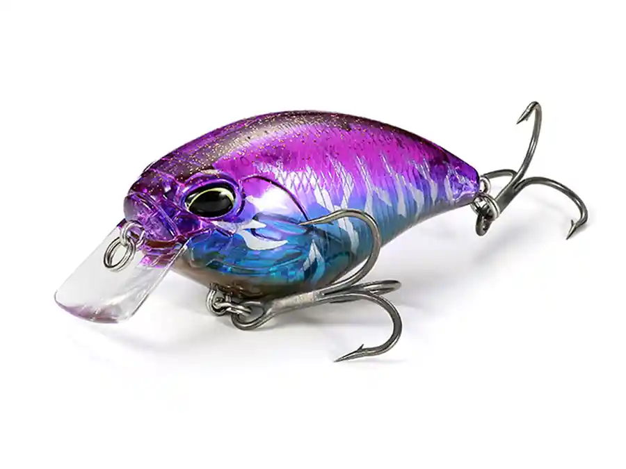 DUO Esche Realis Apex Crank 66 Squared Prezzo Scontato
